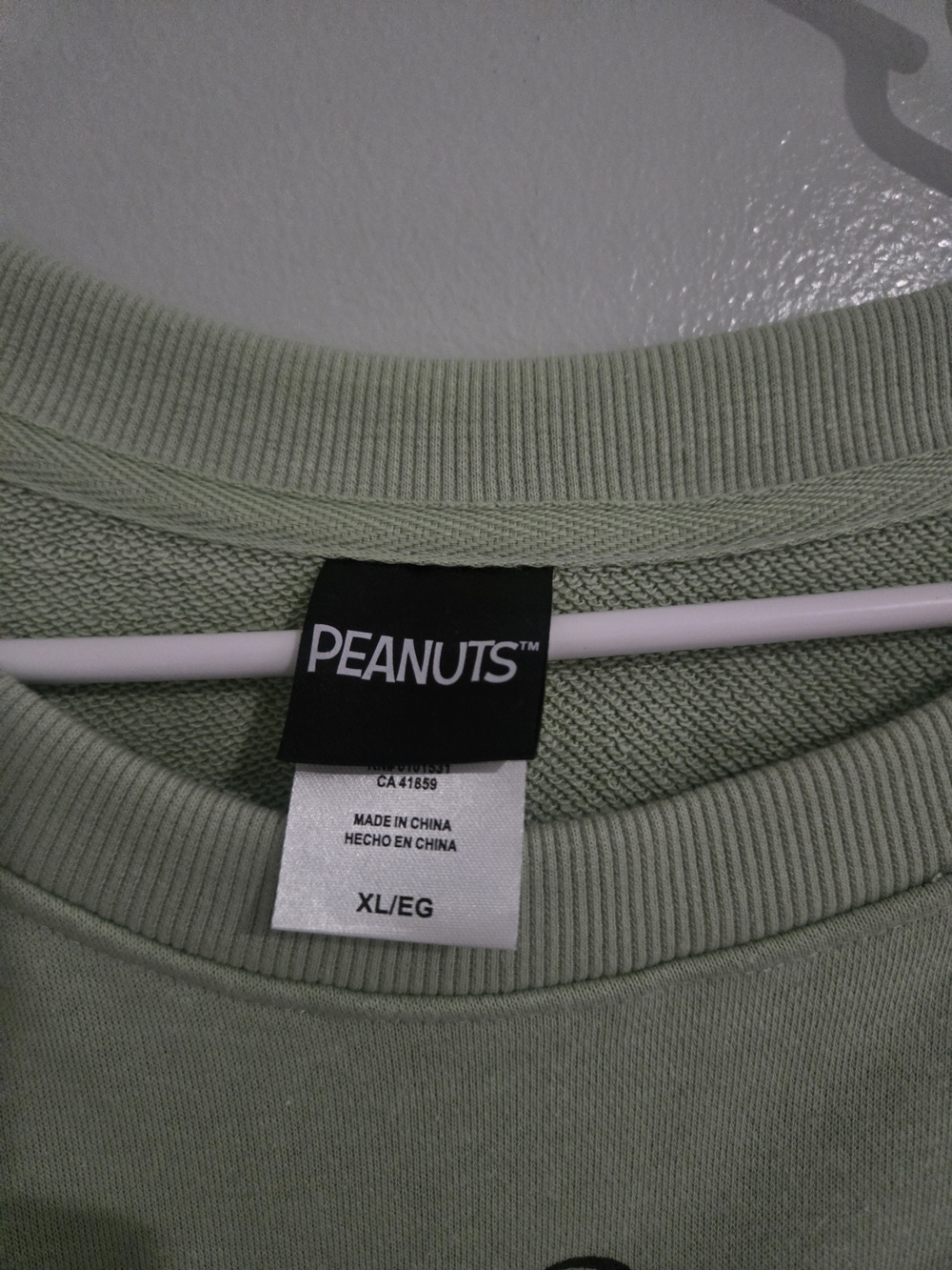Peanuts Women’s Sage Green Crewneck Sweater - XL